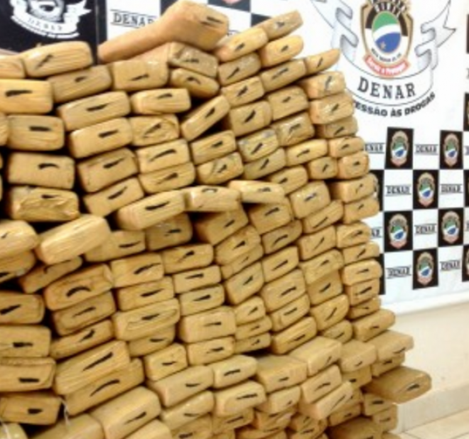 Quadrilha é presa com maconha em chácara de MS 231 kg foram apreendidos pelos policiais da Denar. (Foto: Tatiane Queiroz/G1 MS)