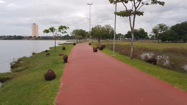 Quinta será de calor e sem previsão de chuva em Três Lagoas Lagoa Maior. (Foto: Ricardo Ojeda/Perfil News)