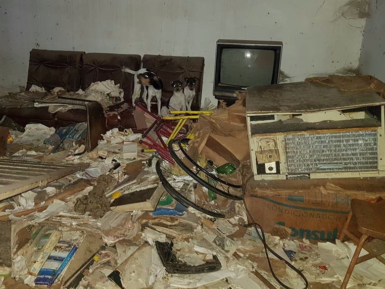 Cães viviam em um imóvel abandonado da advogada. (Fotos: Ricardo Ojeda/ Perfil News). 