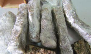 Em Três Lagoas PM prende traficante e armamento no bairro Paranapungá ... além de tabletes de maconha que estavam escondidas embaixo do sofá e foi encontrada por um cão farejador
