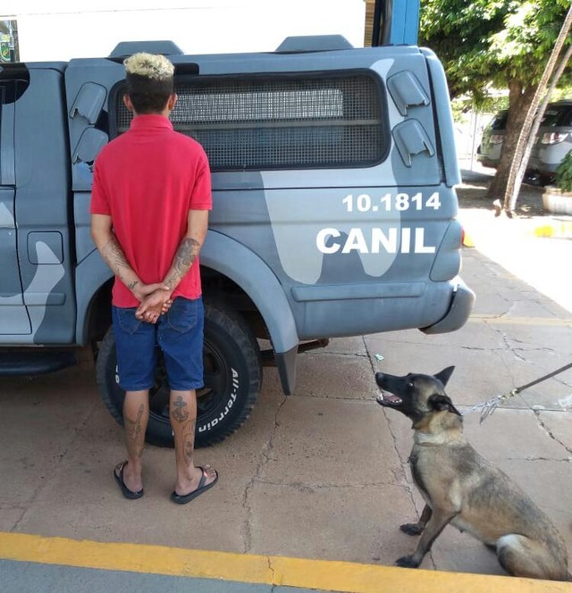 Cão farejador "entrega" usuário de maconha na Lagoa Maior Cachorra farejou três gramas de maconha no bolso do rapaz que passou por ela. Foto: Divulgação Canil PM
