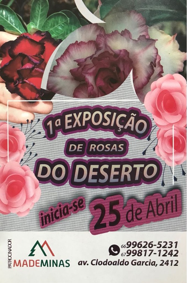 Mademinas vai inaugurar ‘Espaço Verde’ com exposição de Rosas do Deserto Convite para a Exposição de Rosas do Deserto da Mademinas (Foto: Reprodução)