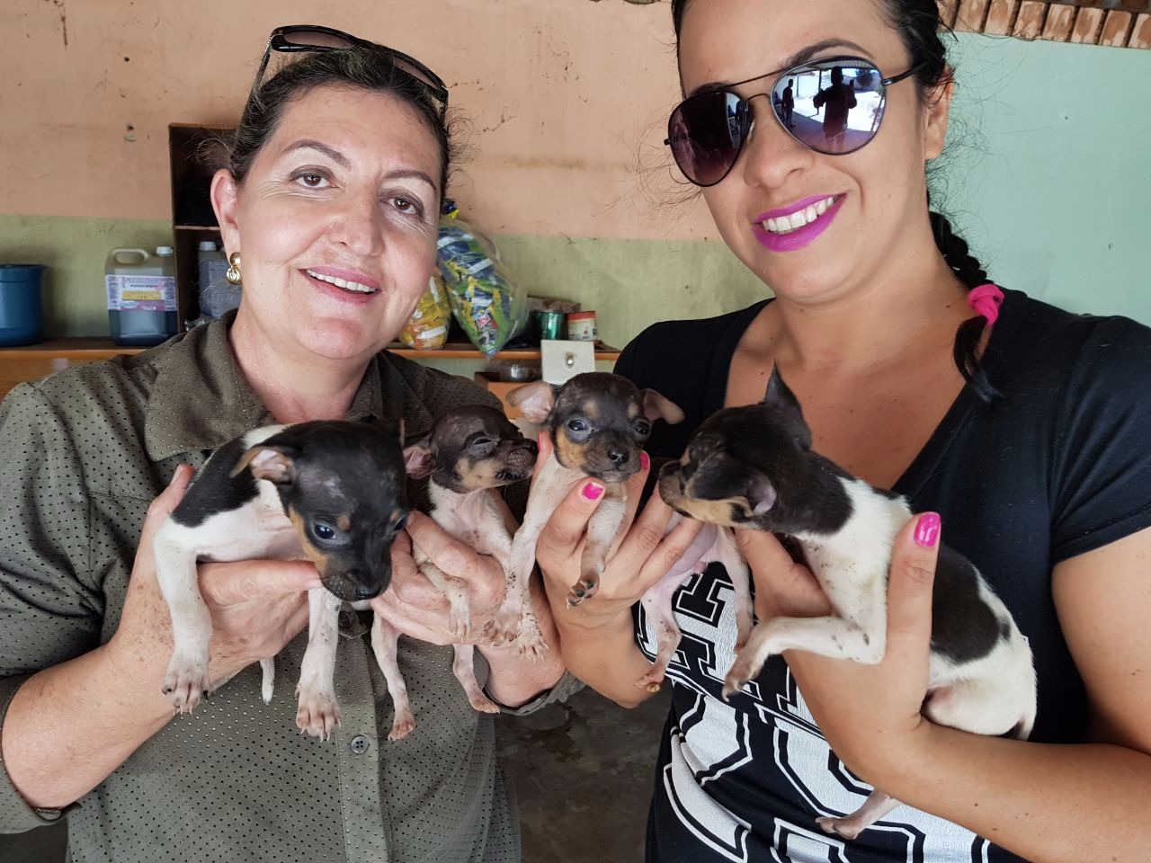 SALVOS: Ivone Ferreira de Souza e Charlene Bertoldo, voluntárias do Protetoras Três Lagoas, auxiliam no cuidados aos animais. (Fotos: Ricardo Ojeda/ Perfil News). 