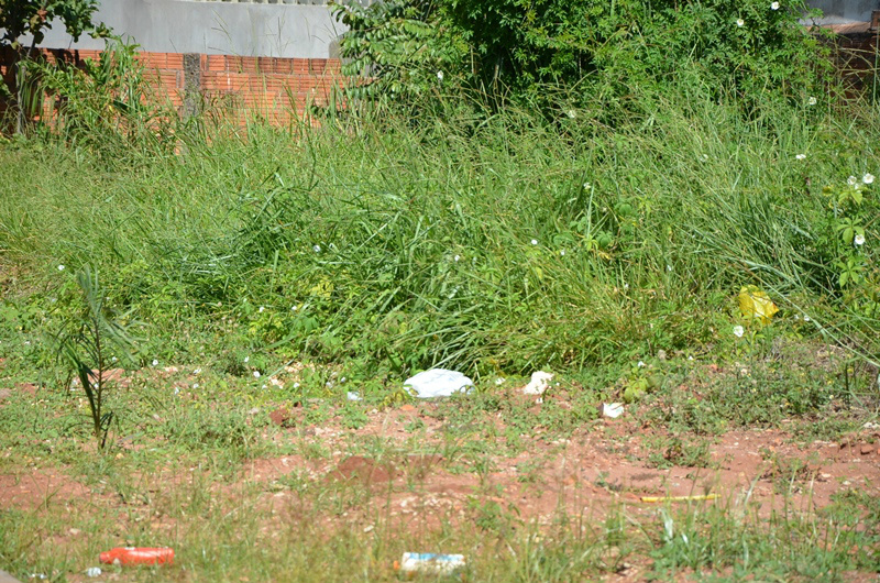 Infraestrutura alerta sobre a necessidade da entrada com recurso após proprietário realizar a limpeza de seu terreno A secretária ressalta ainda que, após a entrega do Aviso de Recebimento (AR) o proprietário tem 30 dias para realizar a limpeza e comunicar o Departamento de Fiscalização sobre a execução do serviço. (Foto: Assessoria)