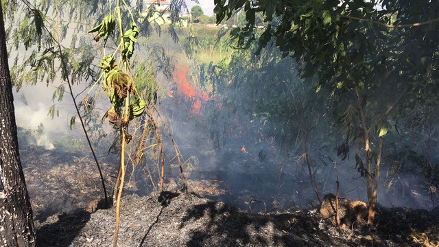 O fogo destruiu a vegetação do entorno da Segunda Lagoa na tarde desta segunda-feira, 23 (Foto: Ricardo Ojeda)