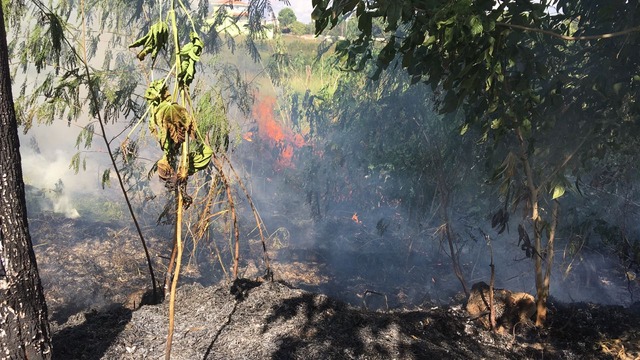 Incêndio destrói vegetação do entorno da Segunda Lagoa O fogo destruiu a vegetação do entorno da Segunda Lagoa na tarde desta segunda-feira, 23 (Foto: Ricardo Ojeda)