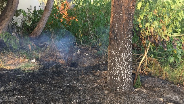 Incêndio destrói vegetação do entorno da Segunda Lagoa É comum ocorrências de incêndio na Segunda Lagoa, porém autoridades ainda não criaram uma patrulha de fiscalização (Foto: Ricardo Ojeda)