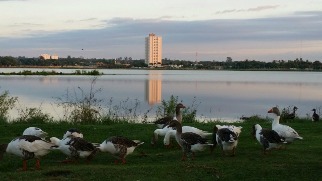 Com algumas nuvens, porém não há possibilidade de chuva em Três Lagoas Alguns animais completavam a paisagem nesta manhã (07). (Foto: Ricardo Ojeda)