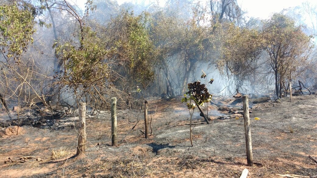 Vegetação atingida pelas chamas fica às margens da BR 158 em Três Lagoas. (Foto: Divulgação/ Corpo de Bombeiros). 