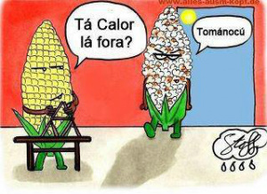 JOGANDO A TOALHA JOGANDO A TOALHA