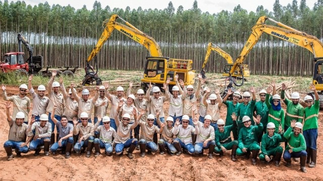 Fábricas de papel e celulose respondem por 11 mil empregos diretos em Três Lagoas Só na área florestal, a Eldorado Brasil conta com o efetivo de 2,3 mil trabalhadores (Foto: Assessoria)