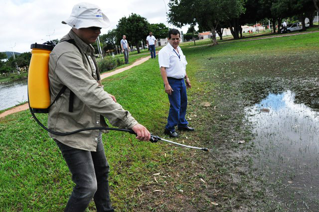 Embora o trabalho de prevenção esteja intensificado, a saúde tem encontrado focos em vários locais da cidade (Foto: Divulgação)