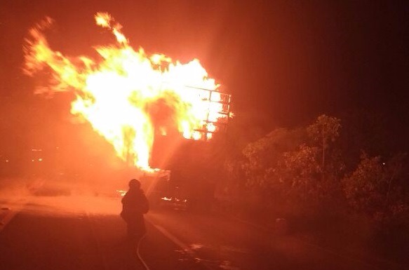 Bombeiros levam 5h para conter incêndio em carreta com eucalipto Incêndio aconteceu na madrugada desta segunda-feira (16). (Foto: Divulgação/ Corpo de Bombeiros).