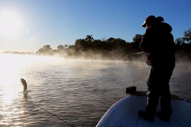 Empresários do turismo querem pesca livre o ano todo no Estado Governo do Estado sancionou lei que impede a pesca do Dourado nos rios de MS - Foto: Arquivo / Correio do Estado