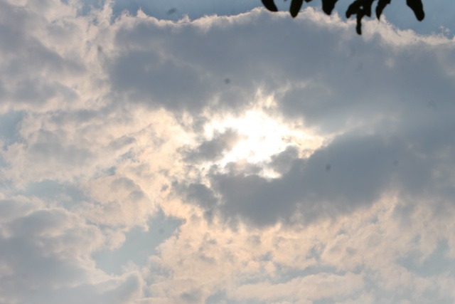Com céu encoberto, há possibilidade de chuva em Três Lagoas Com céu encoberto nesta manhã (13), há previsão de chuva de 10 mm para o dia. (Foto: Perfil News)