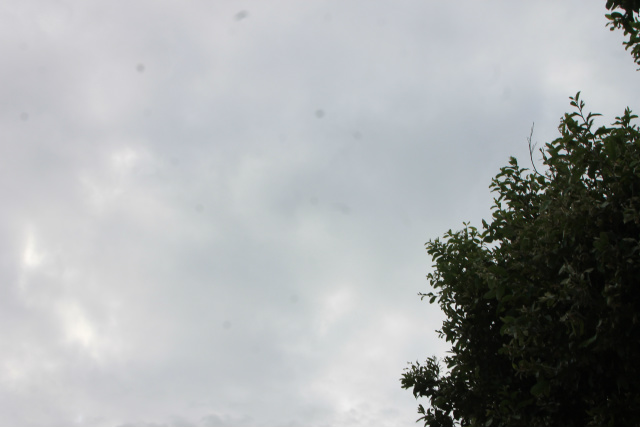 A segunda-feira amanheceu nublada e de acordo com o site Climatempo, há previsão de chuva para hoje. (Foto: Patrícia Miranda) 