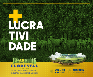 Três Lagoas Florestal já tem 70% de áreas comercializadas