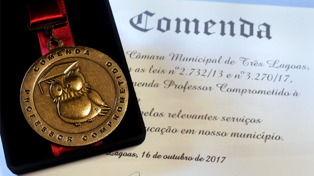 A medalha é conferida a um indicado de cada vereador. (Foto: Câmara Municipal de Três Lagoas)