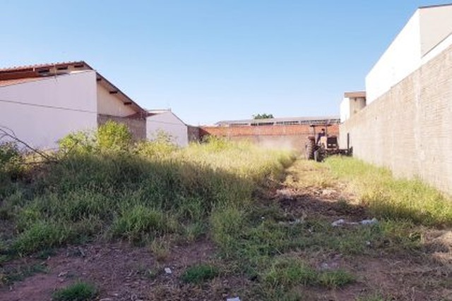 Cerca de 50 terrenos particulares receberam limpeza pela Prefeitura em apenas um bairro de Três Lagoas