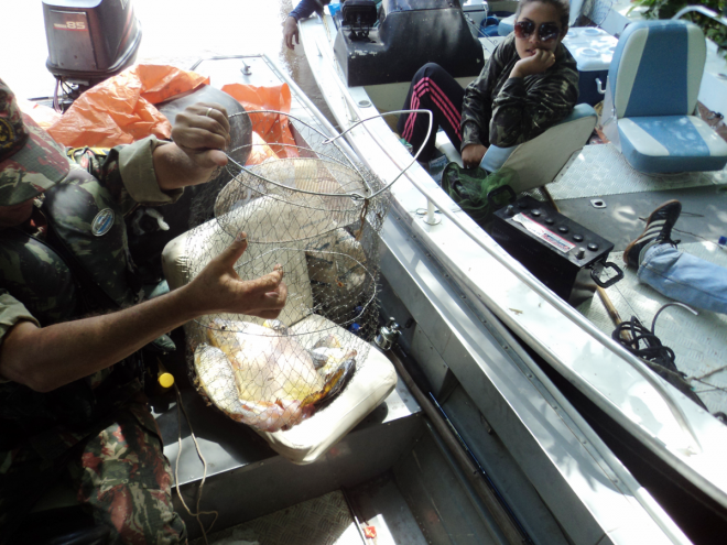 Um pescador profissional e um advogado tiveram suas coisas apreendidas (Foto: Divulgação/PMA)