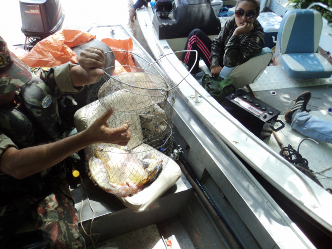PMA prende dois homens por pesca predatória no rio Taquari Um pescador profissional e um advogado tiveram suas coisas apreendidas (Foto: Divulgação/PMA)