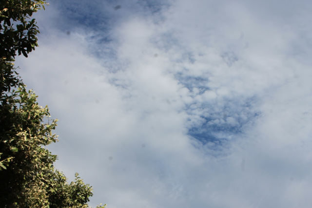 Pela manhã, iniciou-se uma formação de nuvens em Três Lagoas. (Foto: Patrícia Miranda) 