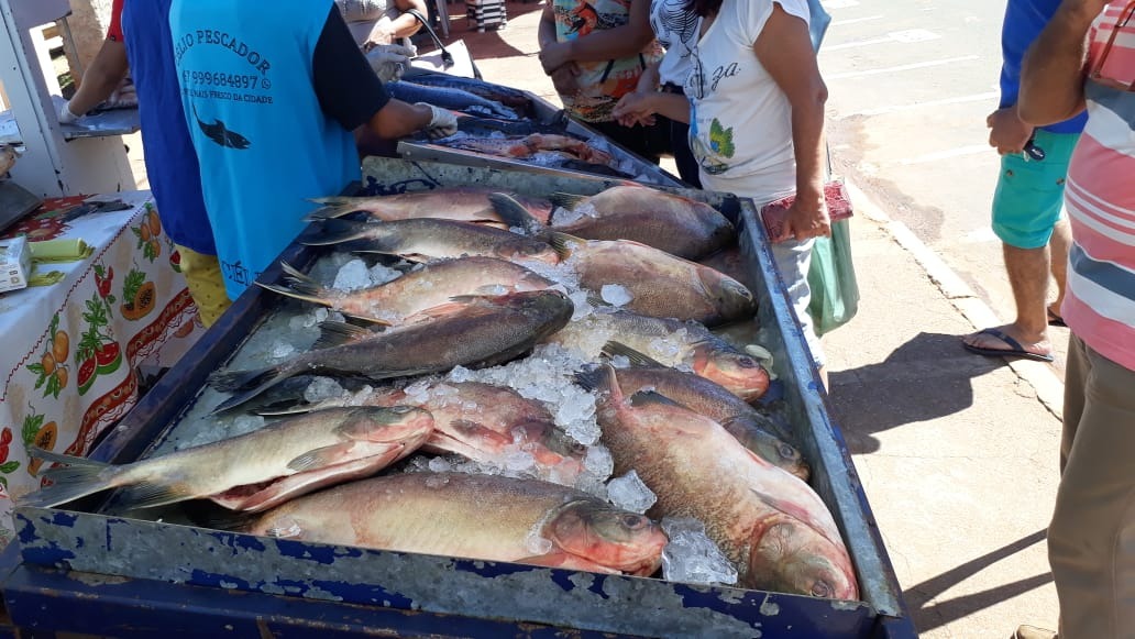 Comerciantes aproveitam a véspera da Sexta-Feira Santa para "vender o peixe" em Três Lagoas A organização afirma que devem ser comercializadas cerca de 10 toneladas de peixe apenas hoje na Feira do Peixe. Foto: João Vitor.