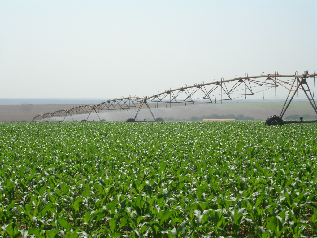 A lei concede desconto a tarifa de energia elétrica incidente sobre as atividades de agricultura irrigada e aquicultura durante todo o sábado, o domingo e os dias de feriados nacionais. (Foto: Divulgação)