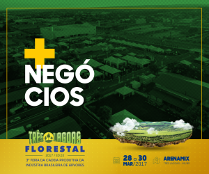 Três Lagoas Florestal já tem 70% de áreas comercializadas