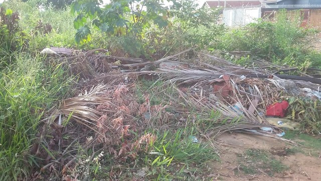 Leitora denuncia vizinhos que jogam sujeira nos terrenos vazios: "até cobra já apareceu aqui" Terreno virou depósito de lixo e leitora denunciou. Foto: Arquivo Pessoal