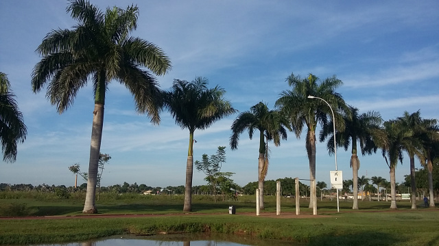 Com um céu azul e poucas nuvens, a quarta-feira inicia com tempo aberto e não há previsão de chuva para o dia. (Foto: Patrícia Miranda) 