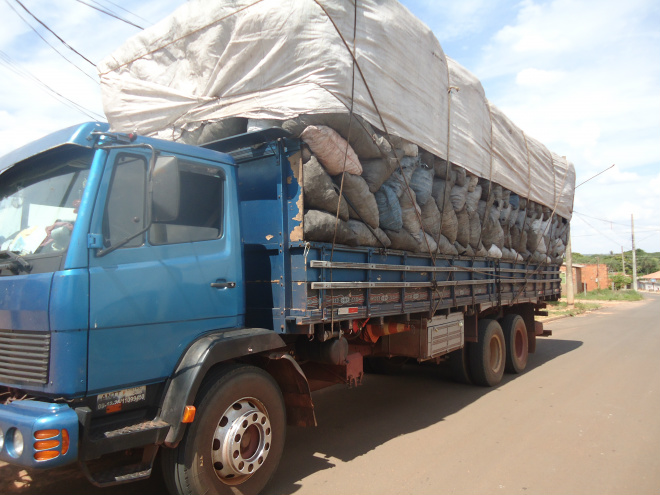 O caminhão tinha carga de 70 m³ de carvão (Foto: Divulgação/Assecom)