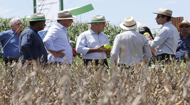 Governo financia programa que avalia eficiência de defensivos agrícolas da soja e milho Foto: Chico Ribeiro