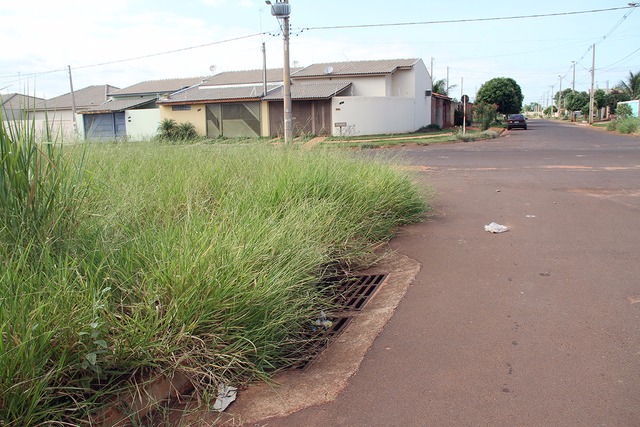 Limpeza em bairros e até em rodovias na pauta de indicações Foto/Assessoria
