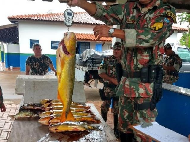 Multa mínima para quem capturar Dourado em rios de MS será de R$ 2,7 mil Peixes apreendidos pela PMA durante um flagrante (Foto: PMA/Arquivo)
