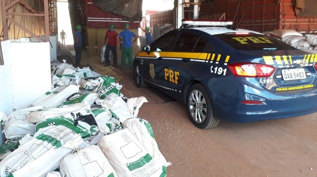 Motorista é preso ao transportar mais de uma 1T de maconha em carreta Foto: Divulgação PRF