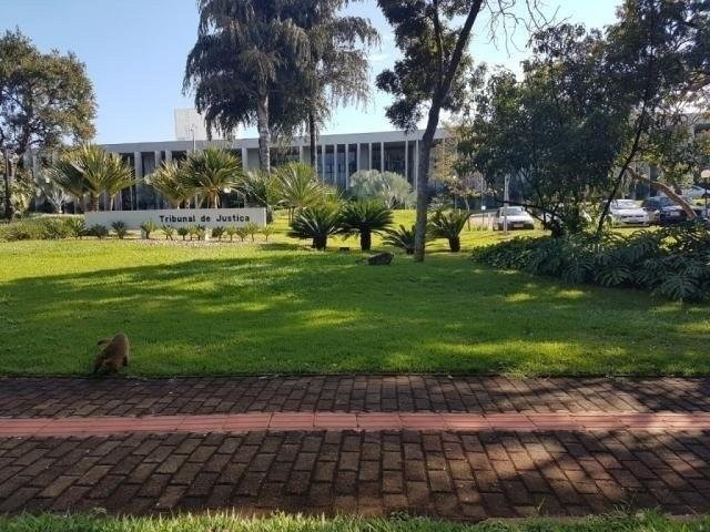 Restrições em novas regras de auxílio-moradia deixam juízes de MS de fora Nenhum dos juízes que atuam em MS receberão auxílio-moradia. (Foto: Arquivo)