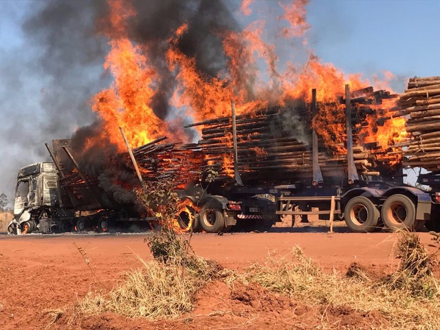 Em pouco tempo as chamas consumiram a carga de eucalipto e a carreta (Foto: Divulgação)