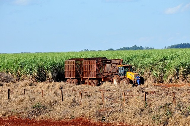 De acordo com o documento da Conab, Estado deve continuar com produção aquecida - Foto: Valdenir Rezende / Correio do Estado