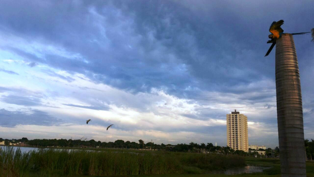 Manhã com muitas nuvens em torno da Lagoa Maior e contribuindo para a paisagem, animais  que vivem no local. (Foto: Ricardo Ojeda) 