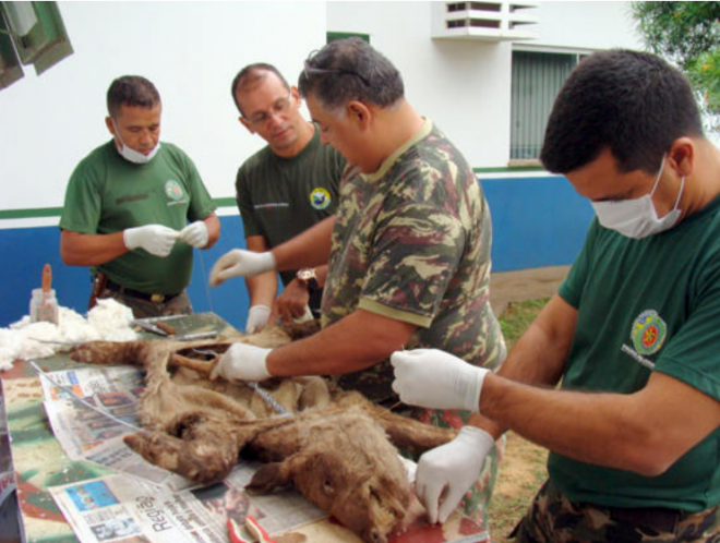 Para a UFGD o objetivo é preparar os acadêmicos para produzir material para composição de acervo de museus (Foto: Noticias MS)