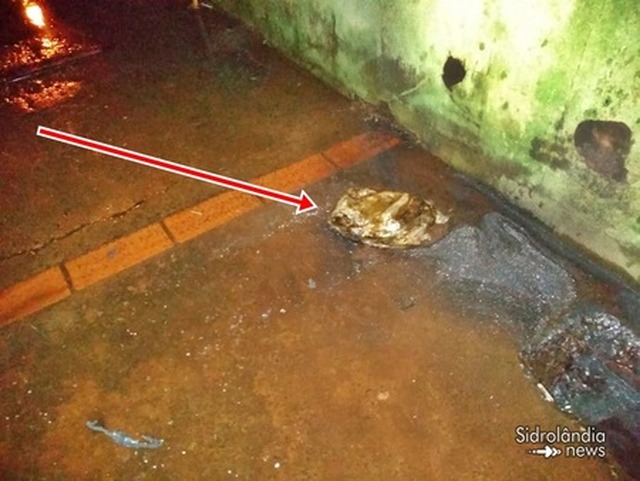Casa de Jornalista é alvo de atentado pela 2° vez em MS Artefato usado para o crime, um galão destruído pelo fogo com forte cheiro de gasolina (Foto: Sidrolândia News)
