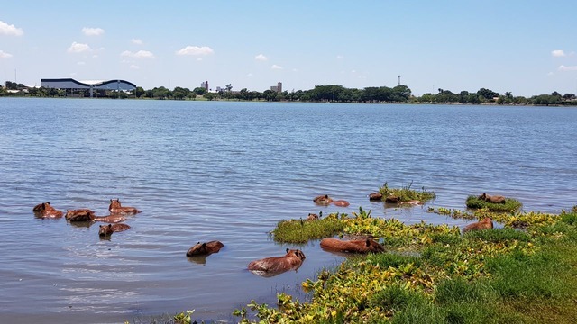 Circular da Lagoa Maior (Foto/Ricardo Ojeda)