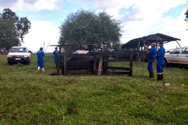 Ações contra raiva são intensificadas em Mato Grosso do Sul Fiscalização está sendo intensificada na área rural - Foto: Foto: Iagro