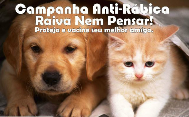 Vacinação antirrábica continua neste sábado O CCZ dividiu a campanha em etapas, seguindo um cronograma que atenda de início aos Bairros (Foto: Divulgação/Assecom)