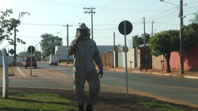 Enxame aterroriza comunidade do entorno do cemitério municipal Um bombeiro militar, usando traje especial, vistoria a área para ver onde a colméia estava (Foto: Ricardo Ojeda)