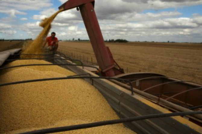 O superávit da balança comercial de Mato Grosso do Sul com o exterior no mês de março deste ano é quase cinco vezes maior ao registrado no mesmo período de 2015. (Foto: Divulgação)