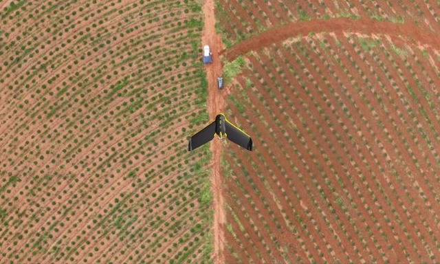 Chineses entram na briga pela empresa de celulose da J&F Drone da Eldorado Brasil sobrevoa uma plantação de eucalipto em Três Lagoas (MS)