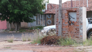 PENA ALTERNATIVA PENA ALTERNATIVA
