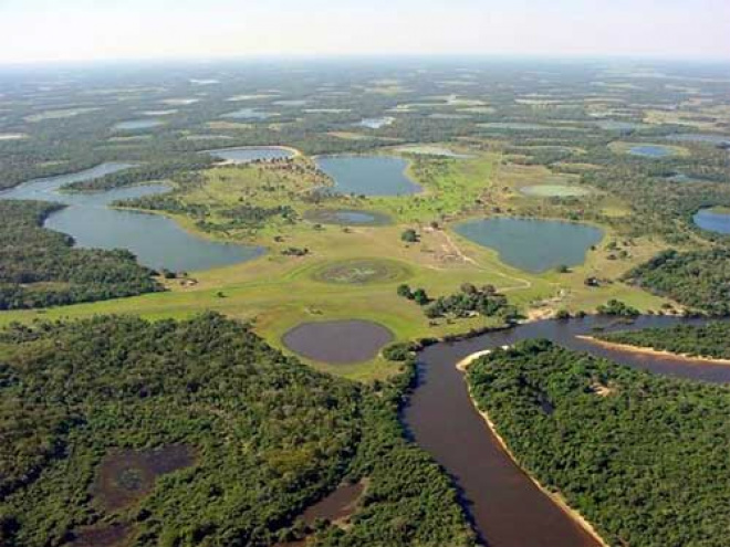 Mato Grosso do Sul é considerado o estado mais belo pela diversidade na fauna e flora do Pantanal
Foto: Divulgação